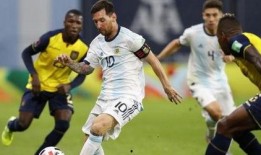 荷兰厄瓜多尔吃瓜,一场跨国“吃瓜”盛宴