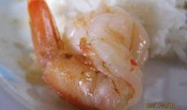 猪儿虫吃瓜,猪儿虫的瓜田奇遇记