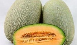 经期可以吃哈密瓜吗吗,经期适宜食用哈密瓜吗？