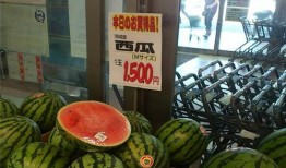 大连哪里吃瓜,探寻城市中的甜蜜美食天堂