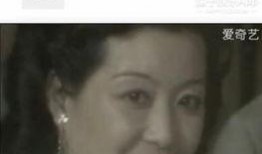 贵圈往事吃瓜视频,揭秘娱乐圈背后的真实吃瓜故事