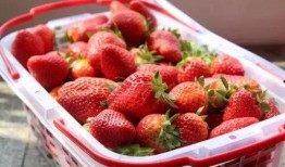 草莓吃瓜q群,畅享欢乐时光的甜蜜聚集地