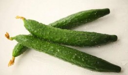 带你吃瓜带你去吃瓜,带你领略美食世界