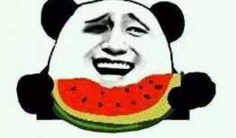 吃瓜会点赞,揭秘网络热议背后的真相