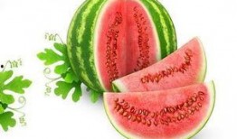 星吃瓜,娱乐圈幕后故事大揭秘