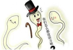 魔兽吃瓜鸡王,吃瓜鸡王传奇，揭秘游戏中的神秘英雄