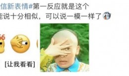 神秘的吃瓜事件,揭秘背后惊人真相