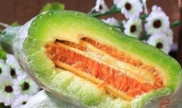 孕妇吃脆瓜,脆瓜助力孕妇健康营养餐