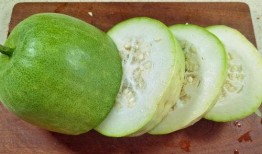 吃冬天瓜,冬日暖阳下的清凉享受——探寻冬季吃瓜的奇妙体验