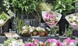 花田花店老板吃瓜入口,花田花店老板的意外“吃瓜”体验