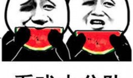 吃瓜表情包双人,揭秘网络文化的奇妙碰撞