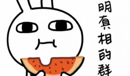 围观吃瓜搞笑,笑料百出，欢乐无限！