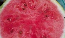 洛阳医院吃瓜,揭秘背后的真相与争议