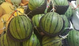 莱州的吃瓜,品味瓜果飘香，探寻地方美食文化