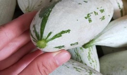 去世亲人吃瓜,那些年我们一起“吃瓜”的温馨回忆