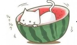 清凉吃瓜搞笑句子,吃瓜搞笑句子大盘点