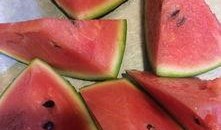 短剧圈子最新吃瓜,揭秘幕后黑幕，明星恋情再掀波澜