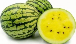 外国的瓜怎么吃,异国瓜果的多样食法探索