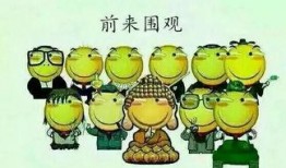 吃瓜群众0221,揭秘娱乐圈最新热点事件