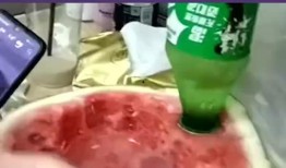 室友吃瓜拉肚子,揭秘夏日饮食健康隐患