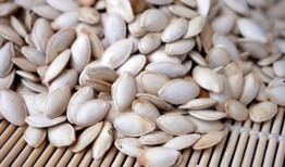 北方人吃瓜吃籽吗,籽在口中，乐趣无穷